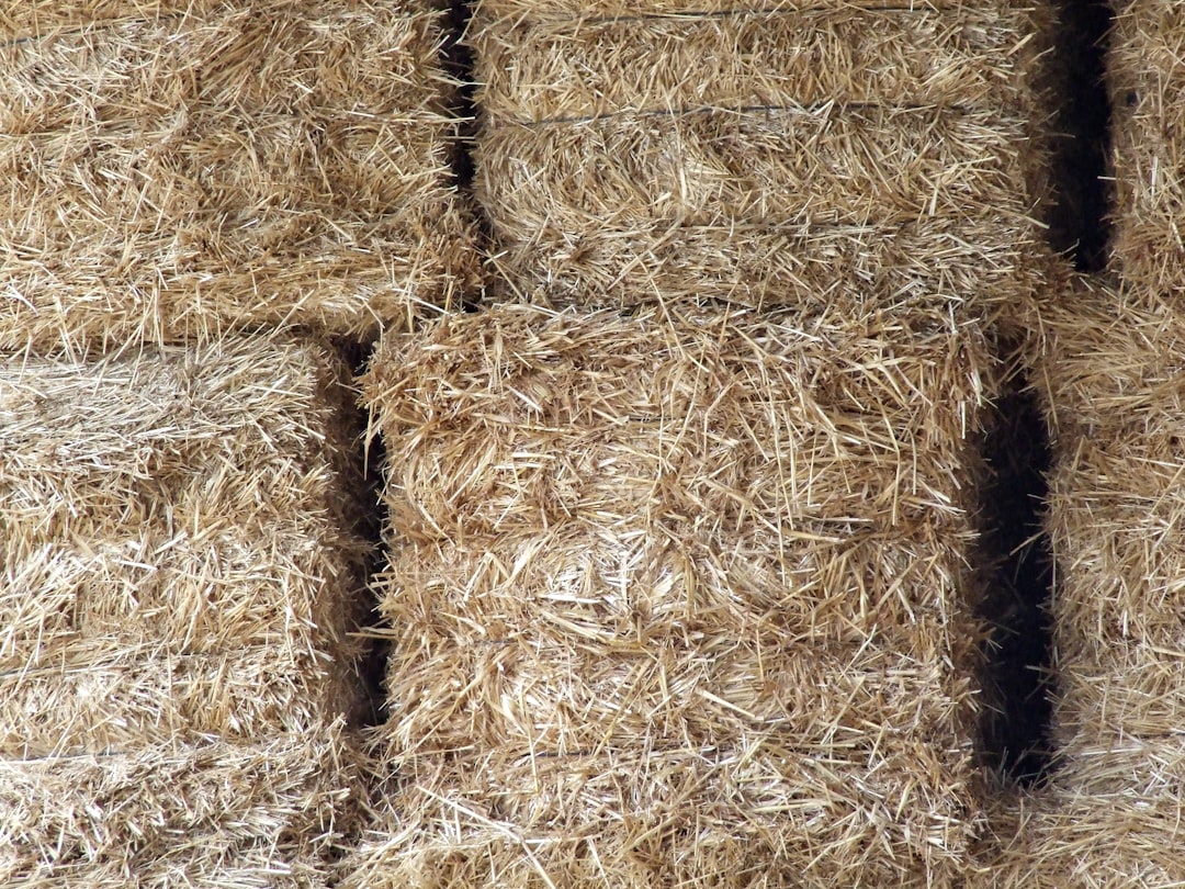 Stacked agricultural hay prepared for dependable bulk supply in the UAE